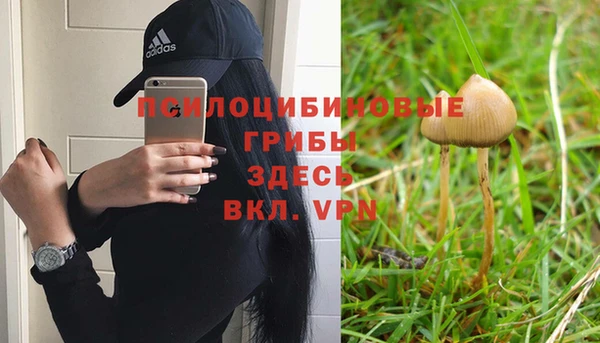 MESCALINE Алзамай