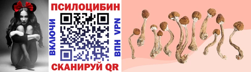 Галлюциногенные грибы GOLDEN TEACHER  Новая Ляля 